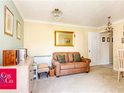 Picture 7